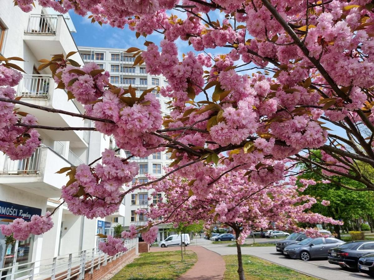 Visit Baltic - Platan Tower Grey Apartment ชวีโนวิชแจ ภายนอก รูปภาพ
