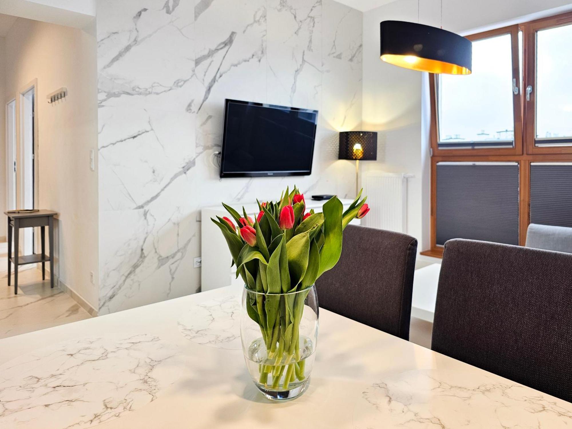 Visit Baltic - Platan Tower Grey Apartment ชวีโนวิชแจ ภายนอก รูปภาพ
