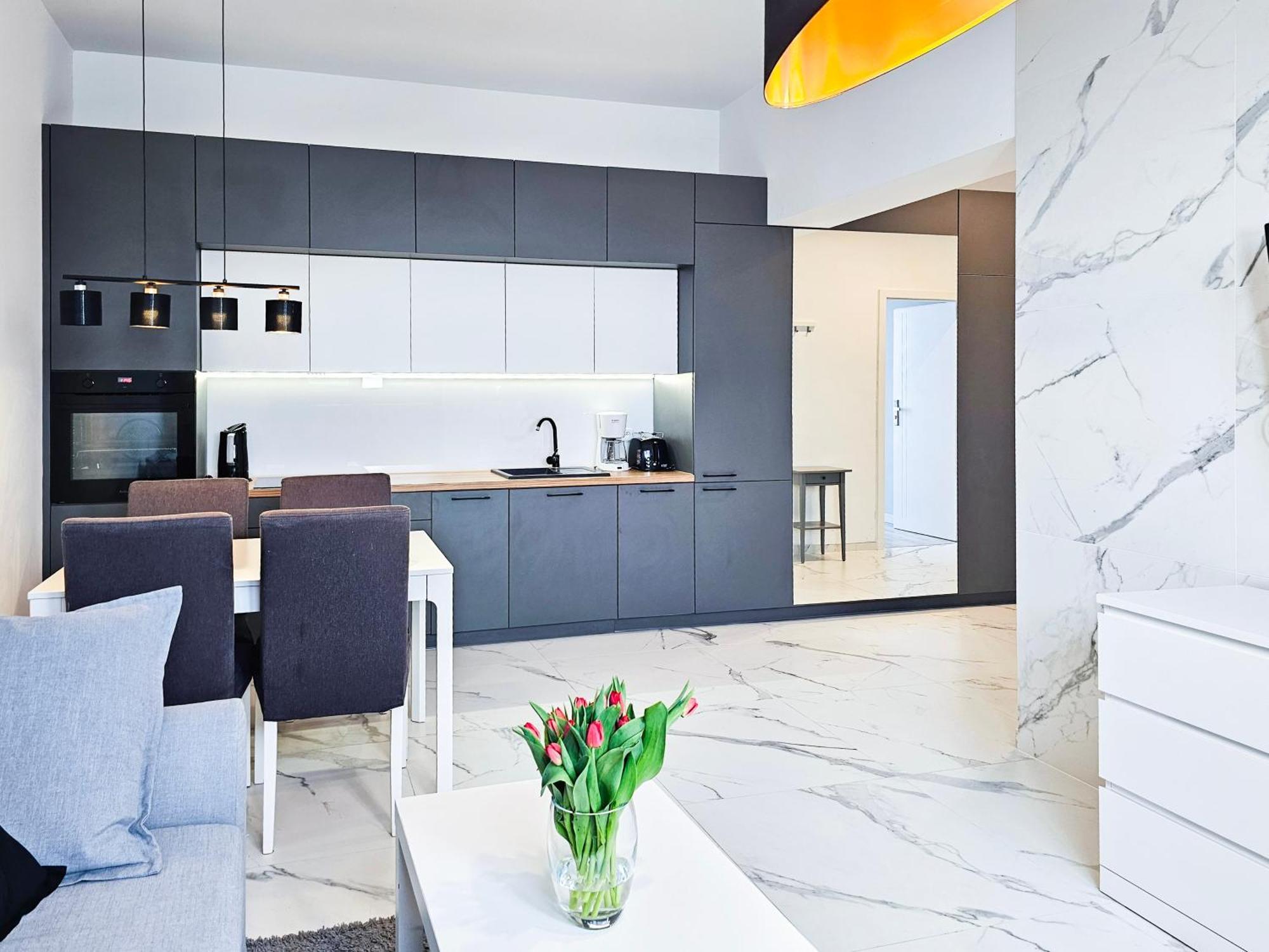 Visit Baltic - Platan Tower Grey Apartment ชวีโนวิชแจ ภายนอก รูปภาพ